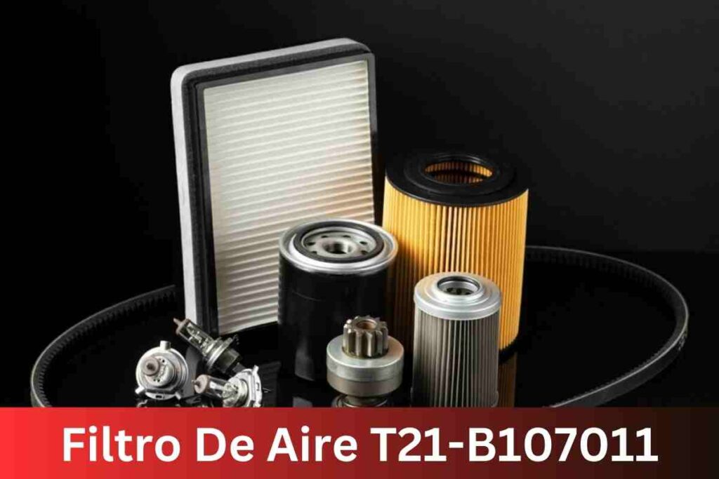 Filtro De Aire T21-B107011