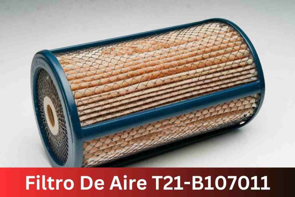 Filtro De Aire T21-B107011