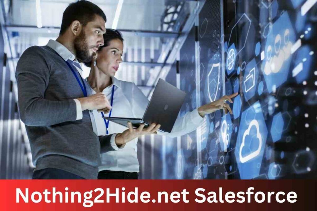 Nothing2hide.net salesforce