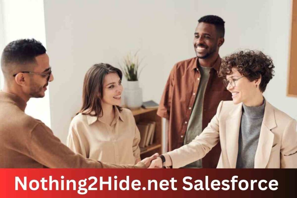 Nothing2hide.net salesforce